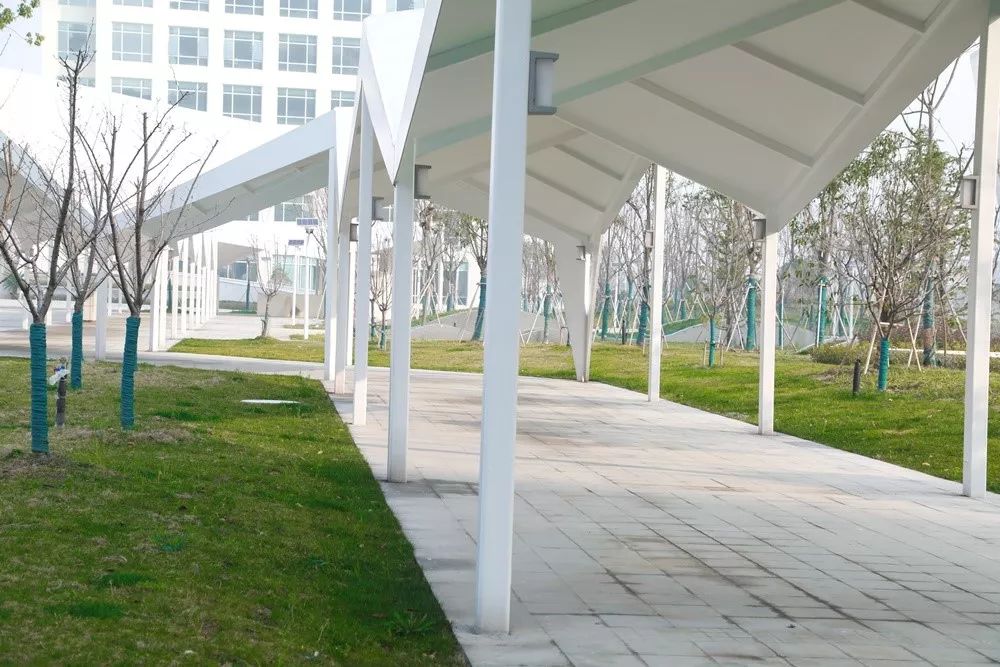 ʰ������